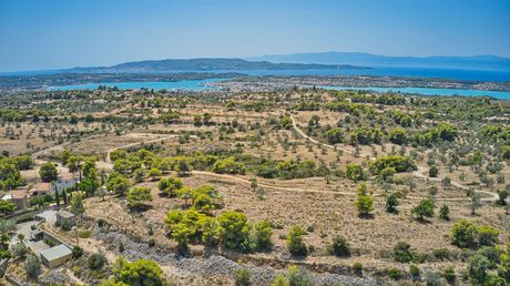 Αγροτεμάχια 9.010 τ.μ. για πώληση
