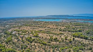 Αγροτεμάχια 9.010 τ.μ. για πώληση, Αργολίδα, Κρανίδι-thumb-17