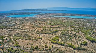 Αγροτεμάχια 9.010 τ.μ. για πώληση, Αργολίδα, Κρανίδι-thumb-8