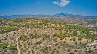 Αγροτεμάχια 9.010 τ.μ. για πώληση, Αργολίδα, Κρανίδι-thumb-12