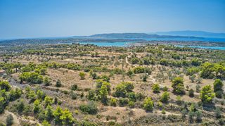Αγροτεμάχια 9.010 τ.μ. για πώληση, Αργολίδα, Κρανίδι-thumb-21