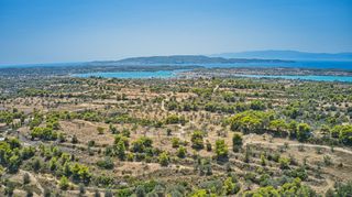 Αγροτεμάχια 9.010 τ.μ. για πώληση, Αργολίδα, Κρανίδι-thumb-18