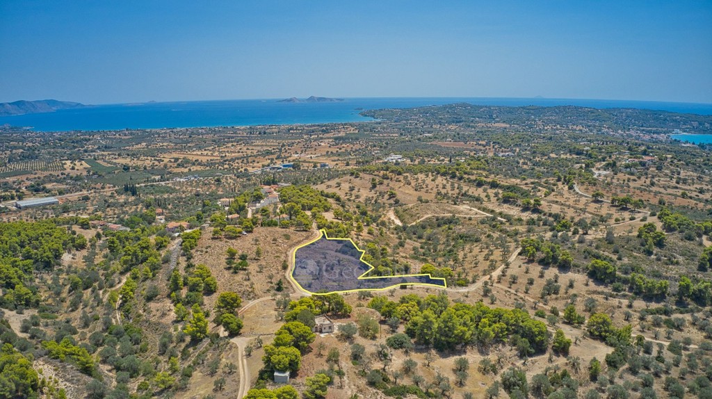 Αγροτεμάχια 4.999 τ.μ. πρός πώληση, Αργολίδα, Κρανίδι