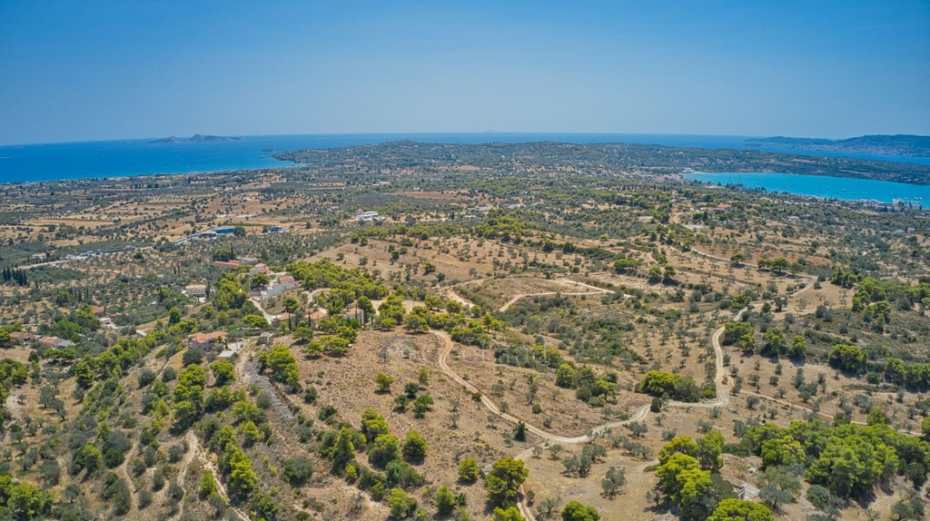 Αγροτεμάχια 4.999 τ.μ. πρός πώληση, Αργολίδα, Κρανίδι