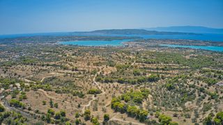 Αγροτεμάχια 4.999 τ.μ. πρός πώληση, Αργολίδα, Κρανίδι-thumb-12