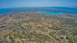 Αγροτεμάχια 4.999 τ.μ. πρός πώληση, Αργολίδα, Κρανίδι-thumb-17