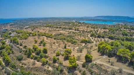 Parcel 4.999sqm for sale-Kranidi » Ververouda