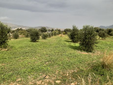Αγροτεμάχια 3.000τ.μ. για πώληση-Ιεράπετρα » Κεντρί