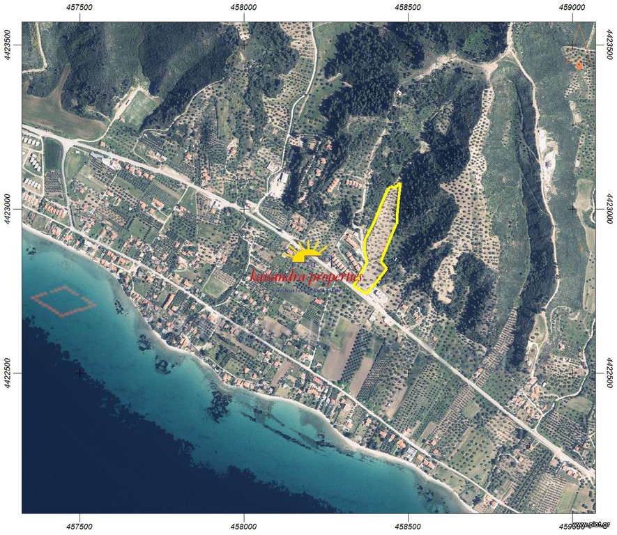 Αγροτεμάχια 16.047 τ.μ. πρός πώληση, Χαλκιδική, Παλλήνη