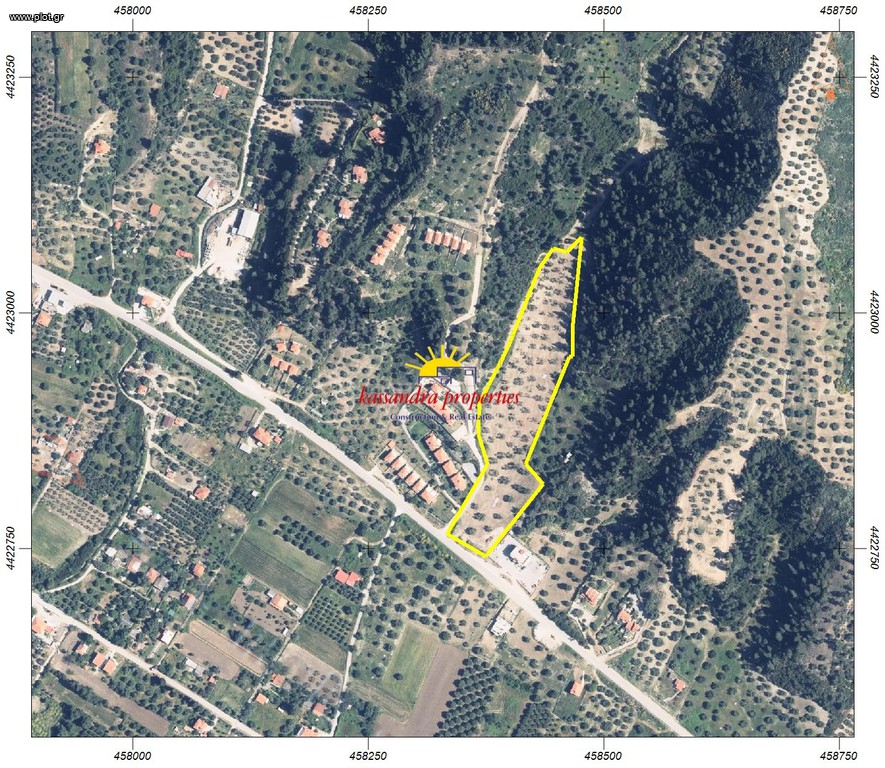 Αγροτεμάχια 16.047 τ.μ. πρός πώληση, Χαλκιδική, Παλλήνη