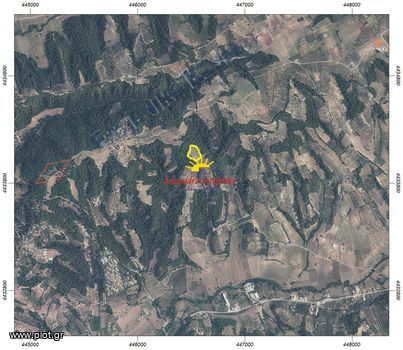 Parcel 11.851sqm for sale-Kassandra » Siviri