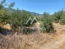 Land plot 947sqm for sale-Agios Georgios » Asprovalta