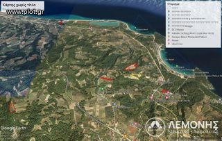 Αγροτεμάχια 7.800 τ.μ. για πώληση