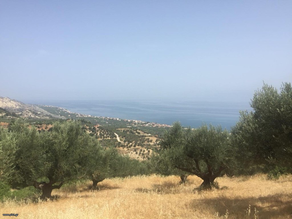 Αγροτεμάχια 4.250 τ.μ. πρός πώληση, Θεσσαλονίκη - Περιφ/Κοί Δήμοι, Επανομή