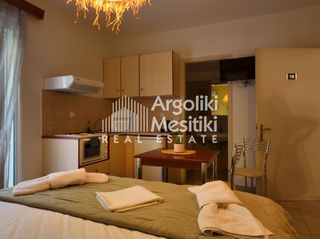 Συγκρότημα διαμερισμάτων 315 τ.μ. για πώληση, Αργολίδα, Ασίνη-thumb-22