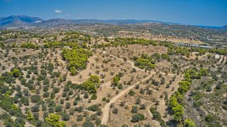 Αγροτεμάχια 22.663 τ.μ. για πώληση, Αργολίδα, Κρανίδι-thumb-22