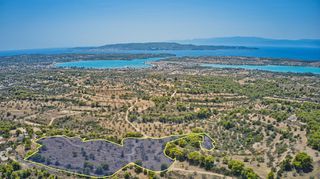 Αγροτεμάχια 22.663 τ.μ. για πώληση, Αργολίδα, Κρανίδι-thumb-1