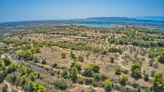 Αγροτεμάχια 22.663 τ.μ. για πώληση, Αργολίδα, Κρανίδι-thumb-19