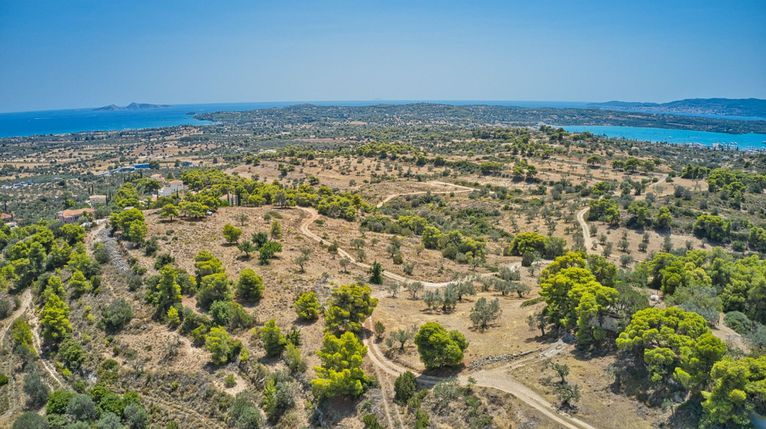 Αγροτεμάχια 22.663 τ.μ. για πώληση, Αργολίδα, Κρανίδι