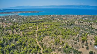 Αγροτεμάχια 4.166 τ.μ. για πώληση, Αργολίδα, Κρανίδι-thumb-6