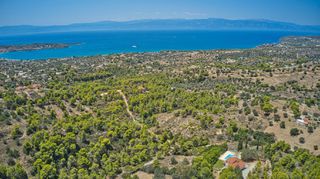 Αγροτεμάχια 4.166 τ.μ. για πώληση, Αργολίδα, Κρανίδι-thumb-5