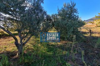 Οικόπεδο 524 τ.μ. για πώληση, Ν. Δράμας, Νικηφόρος-thumb-11