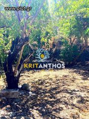 Κτίριο 182 τ.μ. για ενοικίαση, Ν. Ρεθύμνου, Λάμπη-thumb-5