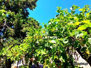 Κτίριο 182 τ.μ. για ενοικίαση, Ν. Ρεθύμνου, Λάμπη-thumb-6