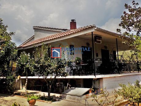 Μονοκατοικία 75τ.μ. για πώληση-Στυλίδα » Αγία μαρίνα