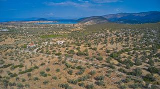 Αγροτεμάχια 14.287 τ.μ. για πώληση, Αργολίδα, Κρανίδι-thumb-2