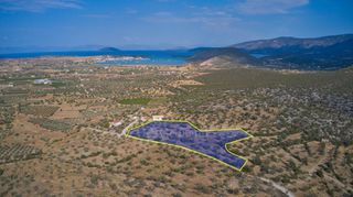 Αγροτεμάχια 14.287 τ.μ. για πώληση, Αργολίδα, Κρανίδι-thumb-4