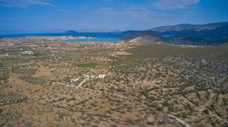 Αγροτεμάχια 14.287 τ.μ. για πώληση, Αργολίδα, Κρανίδι-thumb-10