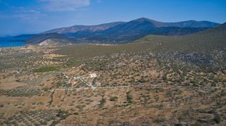 Αγροτεμάχια 14.287 τ.μ. για πώληση, Αργολίδα, Κρανίδι-thumb-18