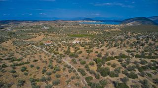 Αγροτεμάχια 14.287 τ.μ. για πώληση, Αργολίδα, Κρανίδι-thumb-21
