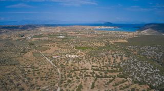 Αγροτεμάχια 14.287 τ.μ. για πώληση, Αργολίδα, Κρανίδι-thumb-12