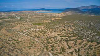 Αγροτεμάχια 14.287 τ.μ. για πώληση, Αργολίδα, Κρανίδι-thumb-16