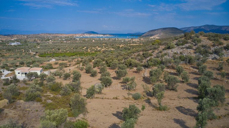 Αγροτεμάχια 14.287 τ.μ. για πώληση, Αργολίδα, Κρανίδι