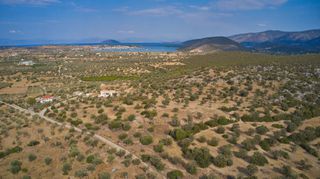 Αγροτεμάχια 14.287 τ.μ. για πώληση, Αργολίδα, Κρανίδι-thumb-19
