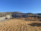 Land plot 1.650sqm for sale-Agios Nikolaos » Plaka