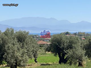 Οικόπεδο 1.010 τ.μ. για πώληση