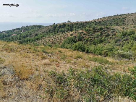 Land plot 10.000 sqm for sale