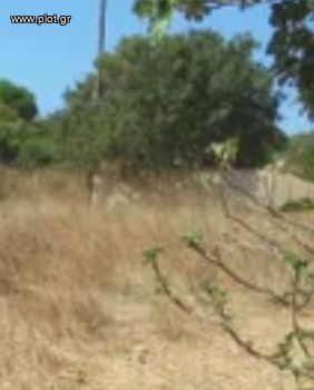 Land plot 20.000sqm for sale-Kythnos » Apokrousi