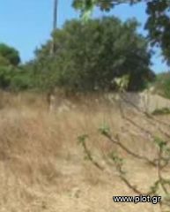 Οικόπεδο 20.000 τ.μ. για πώληση