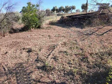 Land plot 758sqm for sale-Limni » Dafni