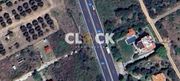 Αγροτεμάχια 900τ.μ. για πώληση-Μουδανιά » Νέα ποτίδαια