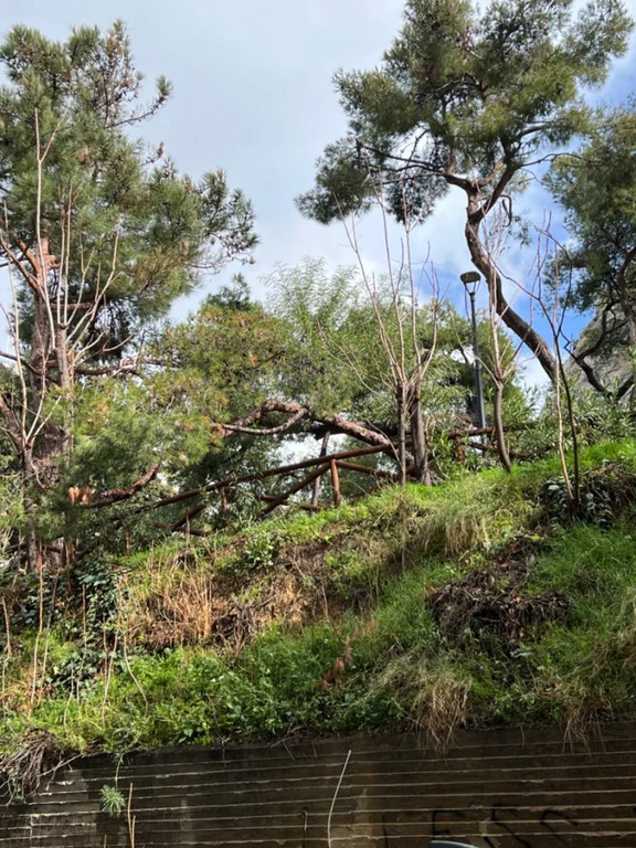 Διαμέρισμα 97 τ.μ. πρός πώληση, Αθήνα - Κέντρο, Κολωνάκι - Λυκαβηττός