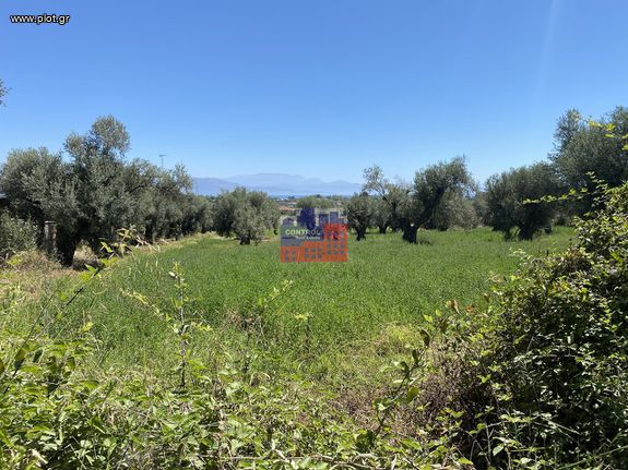 Οικόπεδο 6.056 τ.μ. για πώληση, Αχαΐα, Διακοπτό