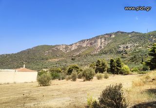 Οικόπεδο 4.750 τ.μ. πρός πώληση, Κορινθία, Ευρωστίνη-thumb-4