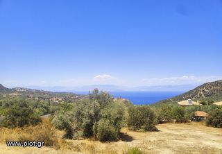 Οικόπεδο 4.750 τ.μ. πρός πώληση, Κορινθία, Ευρωστίνη-thumb-6