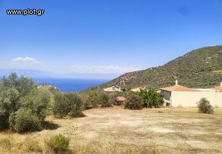 Οικόπεδο 4.750 τ.μ. πρός πώληση, Κορινθία, Ευρωστίνη-thumb-7